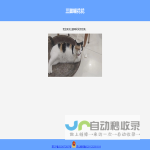 三脚喵花花